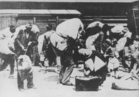 추방되는 세르비아인, 1941년 7월