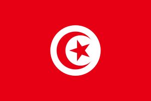 튀니지 국기