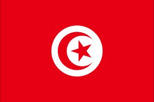 튀니지 국기