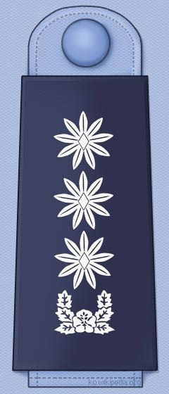 대한민국 공군 대령 계급장