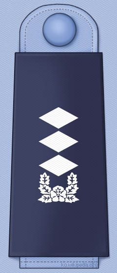 대한민국 공군 대위 계급장