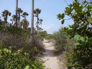 [[Bijilo Forest Park]]