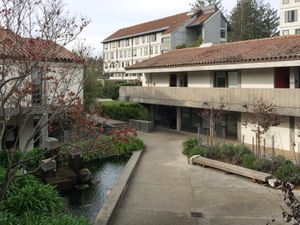 캘리포니아 대학교, 샌타크루즈