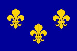 1589년부터 1792년까지 사용된 프랑스 왕실 깃발. 현재 캐나다 국장에도 세 개의 플뢰르 드리스가 반복되어 나타난다.