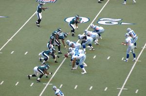 미국에서는 국립풋볼리그 경기가 보통 일요일에 열린다.