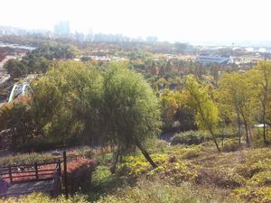 가을의 월드컵 공원 전경