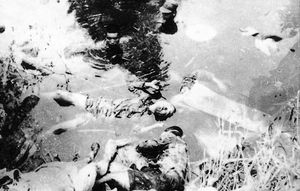 일본군에 의해 살해된 중국 어린이들의 시체가 연못에 버려져 있다.