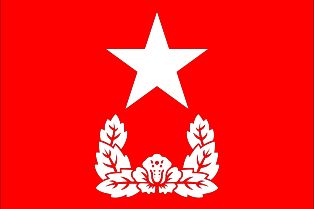 대한민국 육군 및 해병대 준장 계급기