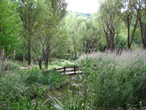 대구수목원 다리