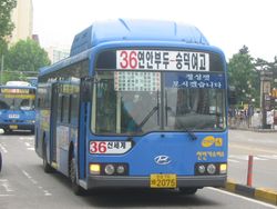 36번 버스