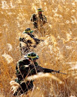 수색정찰 중인 제9보병사단 장병들