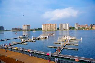 코치 국제 마리나