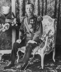 1904년경의 민영환