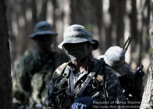 2012년 대한민국 해병대 훈련 모습