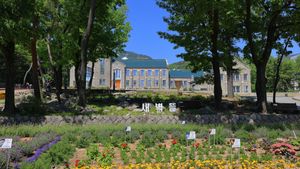 부산대 박물관앞 새벽뜰