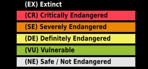 유네스코 세계 위험 언어 지도에서 언어를 분류하는 방법