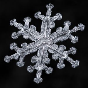 눈송이 6회 대칭