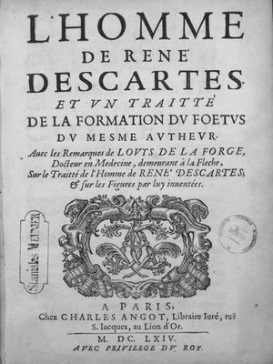L'homme (1664)