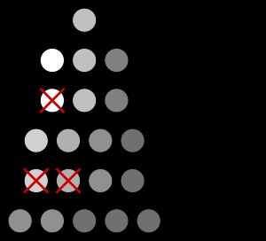 어두운 색을 띠는 개체군에 대한 자연 선택