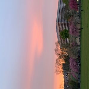 메도우즈에서 바라본 에든버러 대학교 도서관