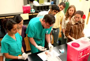 의대생들이 봉합술을 배우는 모습