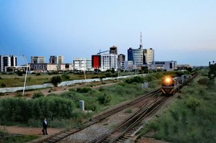 상단: 가보로네 CBD