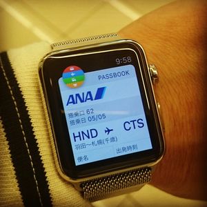 1세대 애플워치 (2015)