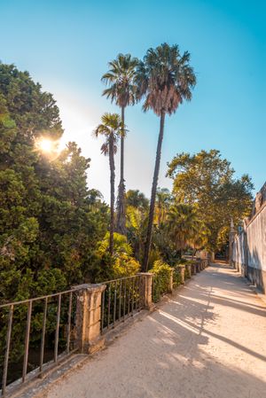 코임브라 대학교 식물원의 모습