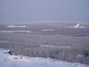 북위 67°러시아 베르호얀스크의 타이가 지대의 강. 이 지역의 겨울 기온은 북반구에서 가장 춥지만, 기후의 대륙도가 높은 탓에 7월에는 기온이 22 °C까지 올라간다.