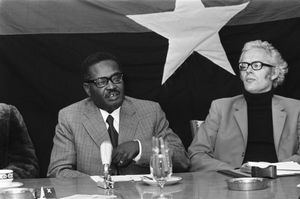 네투와 시에트세 보스그라 (네덜란드, 1975년)