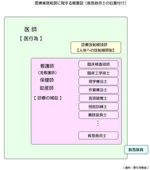 구급구명사의 업무 범위 개념도