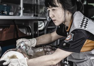 세종특별자치시