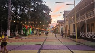 발바네로 바르가스 공원