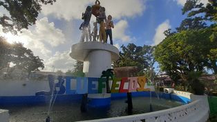 센트럴 파크 (Central Park)의 블루필즈 표지판