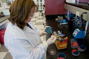 미국 식품의약국(Food and Drug Administration) 과학자가 살모넬라 검사를 하고 있다.