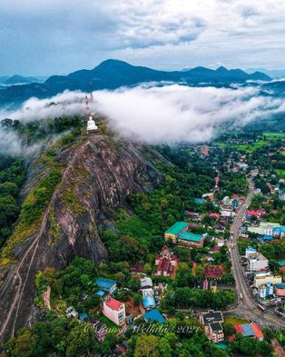 코끼리 바위와 도시의 조감도