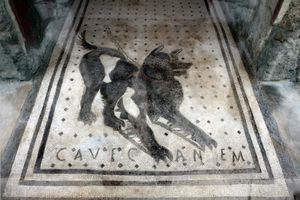 cave canem}}) 모자이크 (기원전 2세기)