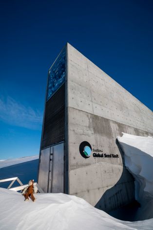 [[스발바르 국제 종자 보관소|글로벌 종자 보관소]]