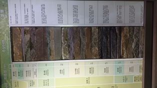 [[삼척탄전]] 지역 평안 누층군 주상단면도