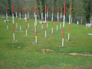 네안데르탈인 1호가 발견된 네안데르 계곡의 발굴 현장