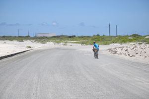 에와 해변 근처 웨이크 섬의 도로