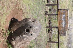 푸 오 히로 (Trumpet of Hiro)