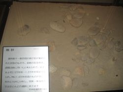 일본 열도의 구석기 시대에 찜 요리에 사용되었을 것으로 추정되는 돌무더기(야마나시현 미나미코마군 난부정의 텐진도 유적).