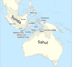 순다와 사훌 육붕의 위치를 그린 지도. 왈레이시아는 두 육붕 사이의 지역이다.