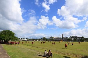 알버트 공원(수바)