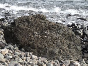 리드버드 산 해변의 화산 각력암