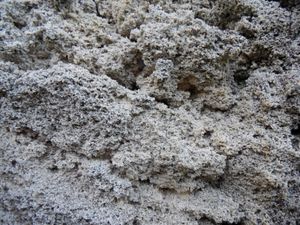 앤더슨 로드 근처의 석회질 사암 확대 사진