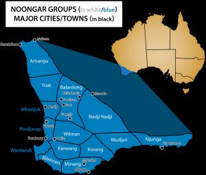 파마늉아어족은 대륙의 북동쪽(Paman)에서 남서쪽(Nyungar)까지 광범위하게 분포한다
