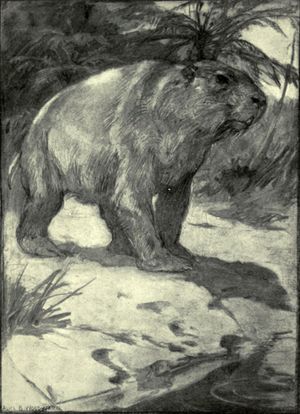 앨리스 B. 우드워드의 초기 디프로토돈 복원도, 1912년