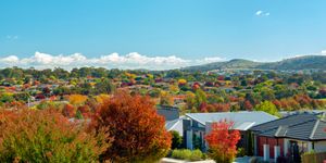 오스트레일리아 캔버라의 가을